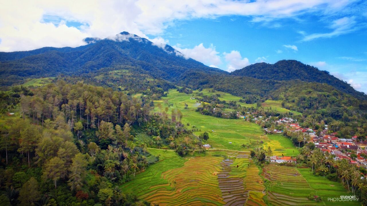 Website Resmi Pemerintah Desa Wombo